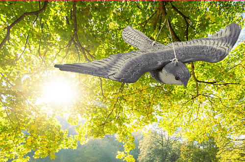 Screenshot 2021-10-29 at 12-00-09 11 61€ 40% OFF Fake Flying Falcon Hawk Bird Hunting Decoy Deterrent Scarer Garden Hanging[…]
