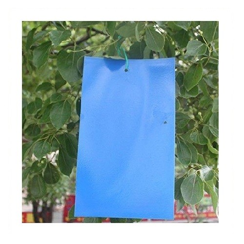Χρωμοτροπικές μπλε – παγίδες εντόμων 10 x 23 cm
